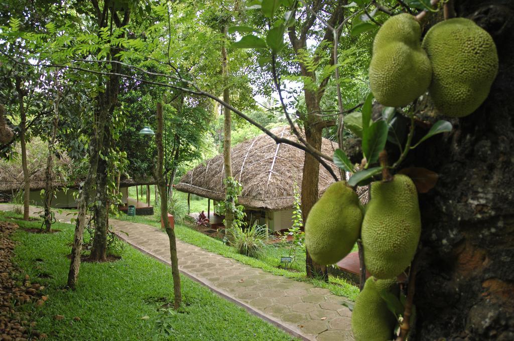 Spice Village Thekkady - A Cgh Earth Experience Luaran gambar