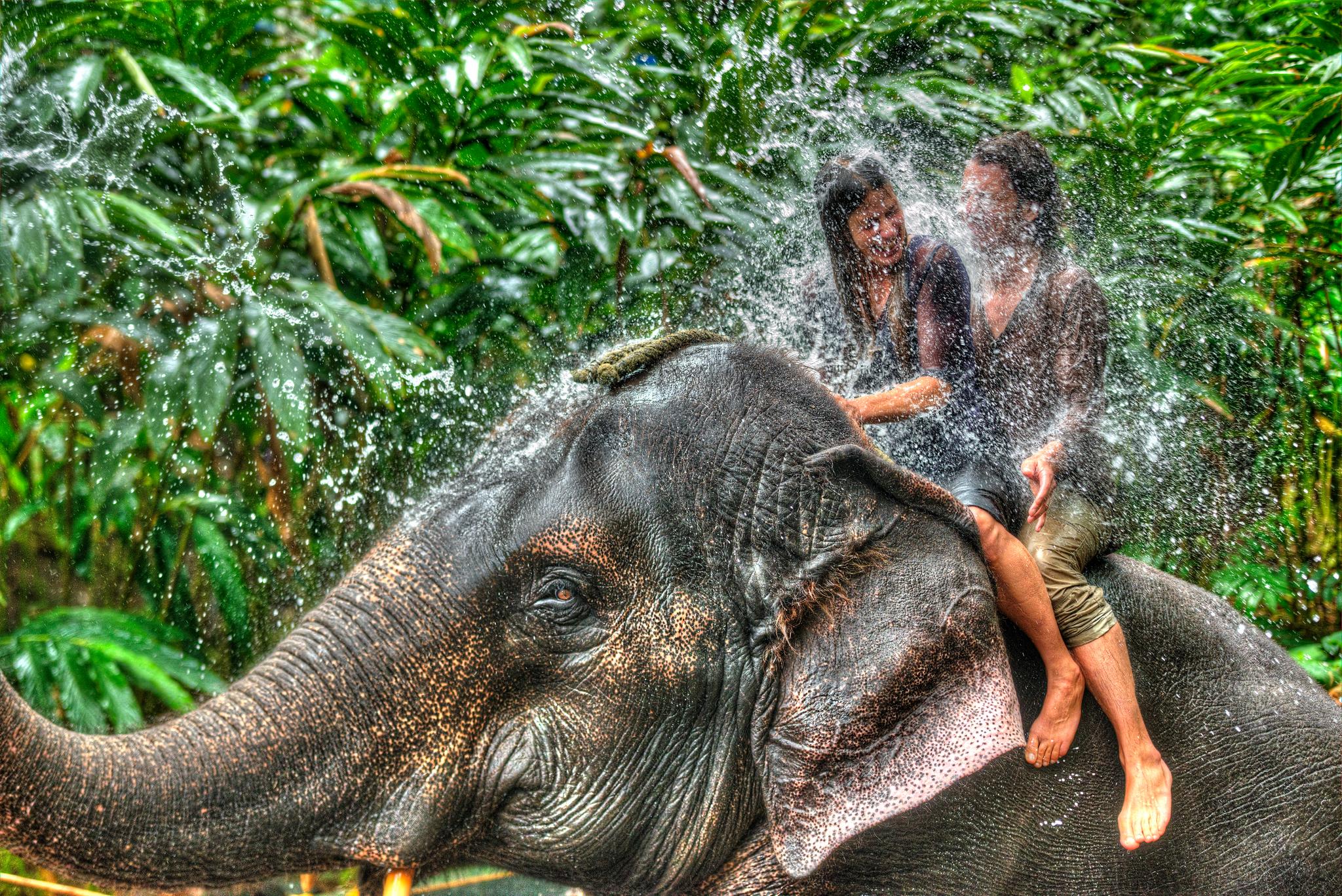 Spice Village Thekkady - A Cgh Earth Experience Luaran gambar